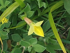 photo of Dragon's Teeth
