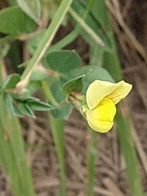 photo of Dragon's Teeth